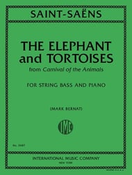 The Elephant and Tortoises String Bass and Piano cover Thumbnail